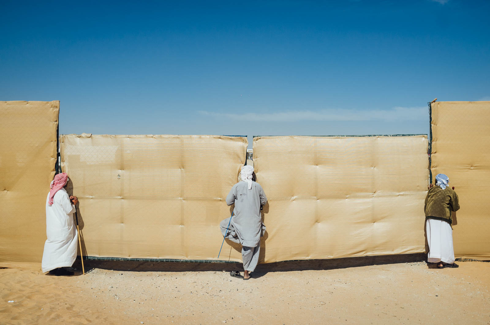 Camel Beauty 14, Photo by Milo | Photographer