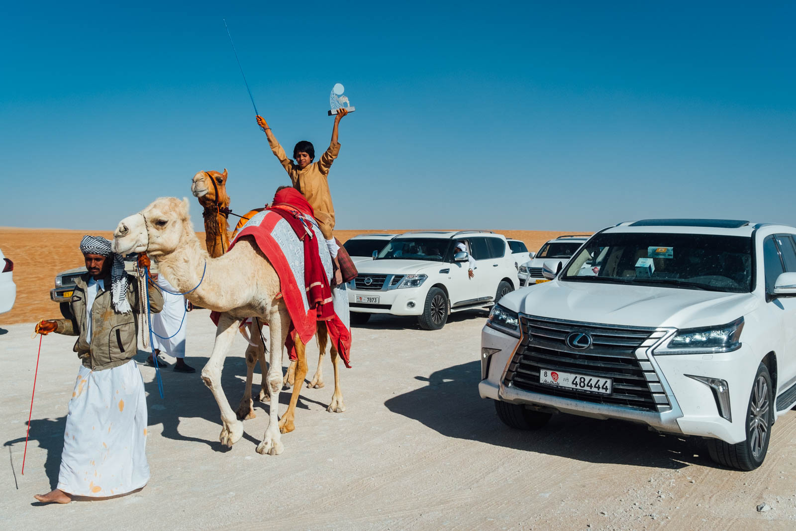 Camel Beauty 20, Photo by Milo | Photographer