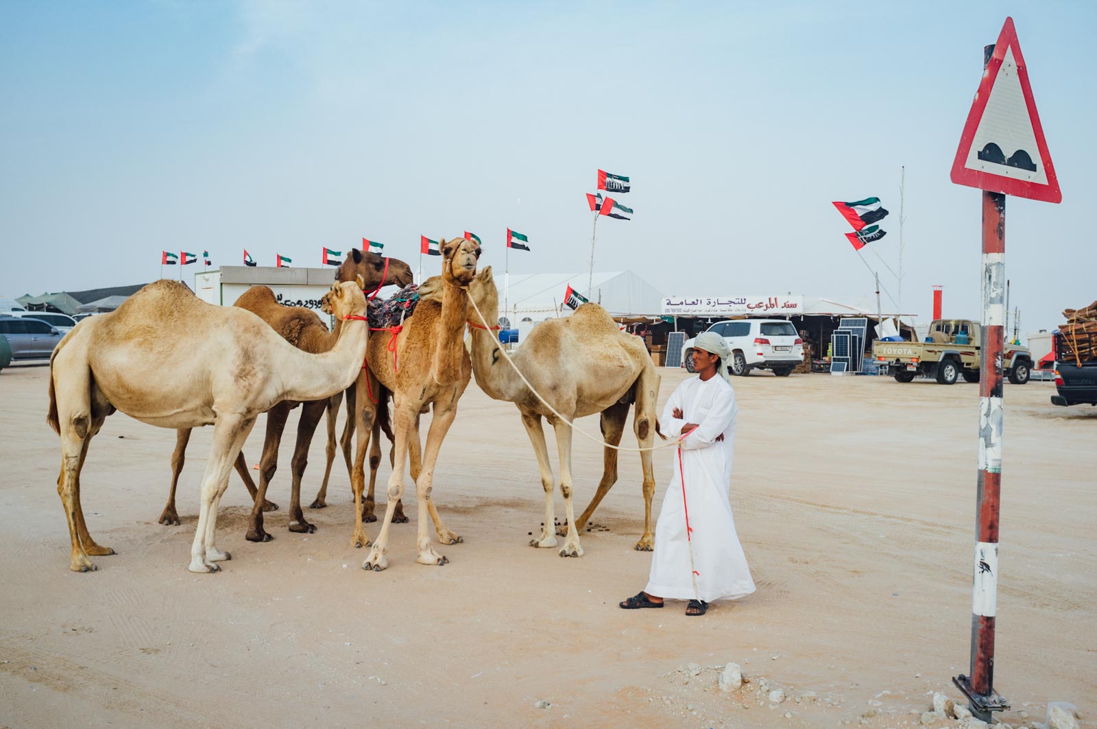 Camel Beauty 05, Photo by Milo | Photographer