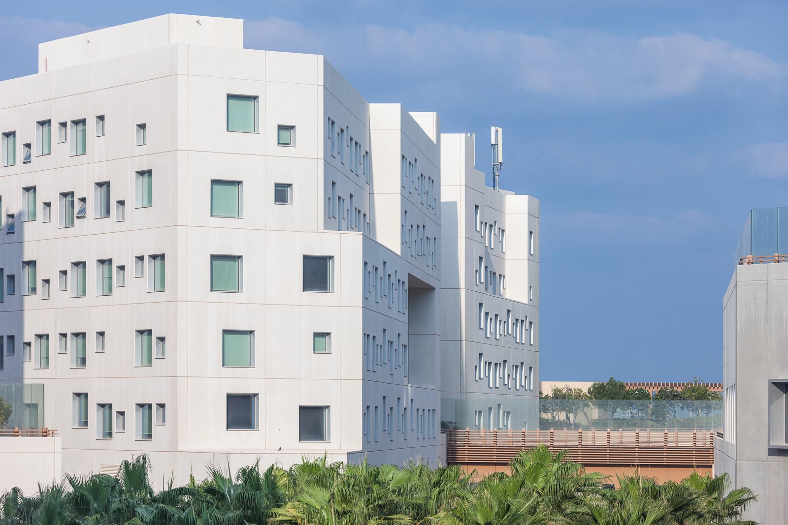 NYU Abu Dhabi 04, Photo by Milo | Photographer